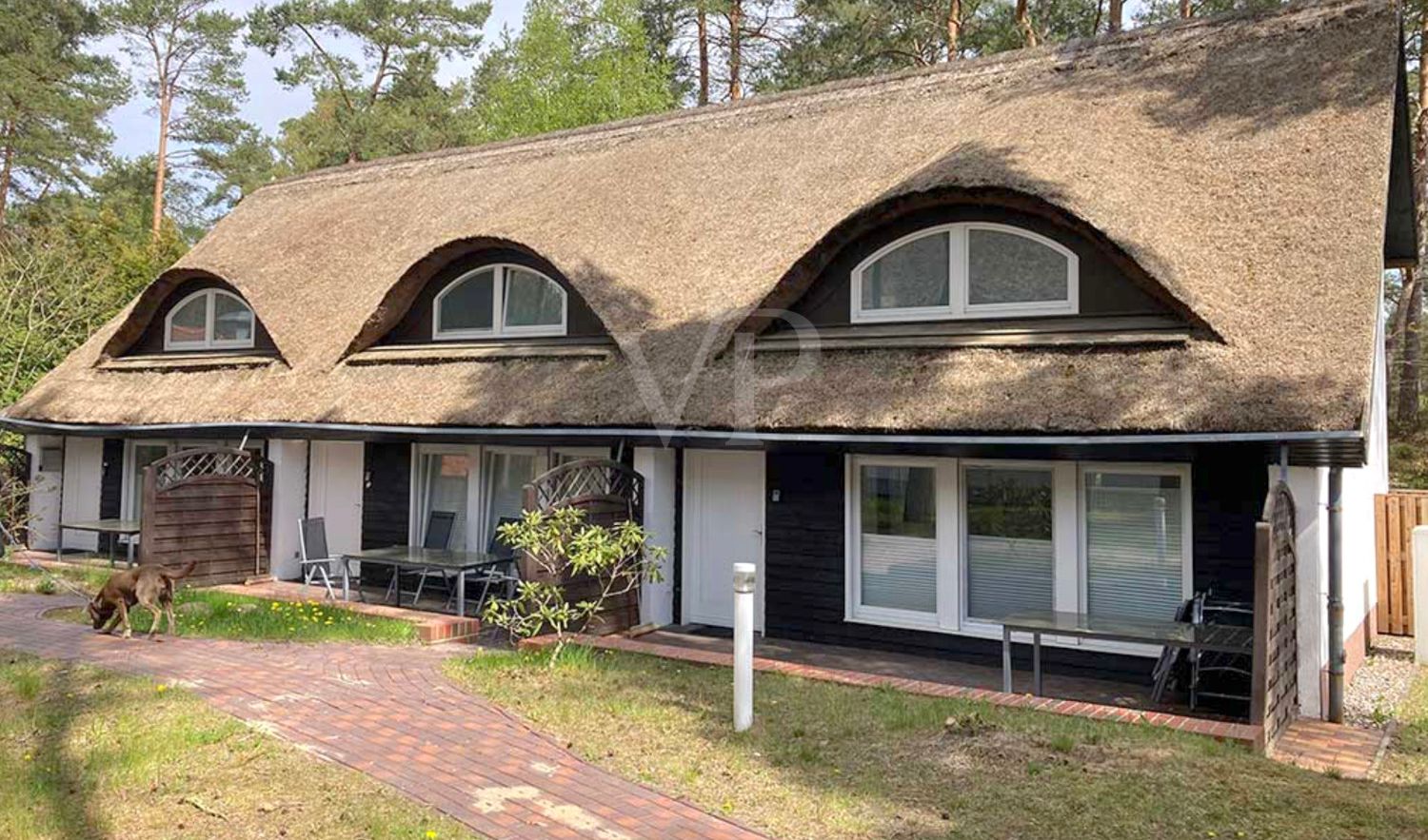 Reetdach Ferienhaus