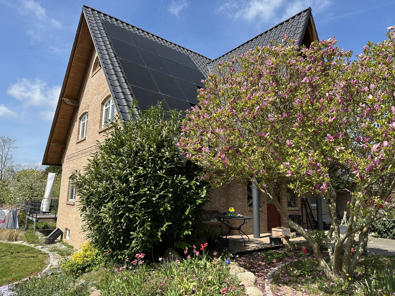 Haus mit Magnolie