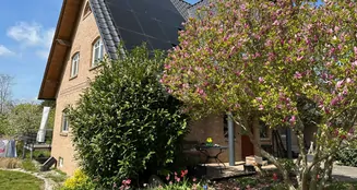 von_poll_real_estate_property_25257413_image_3