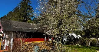 von_poll_real_estate_property_25257413_image_25