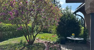 von_poll_real_estate_property_25257413_image_6