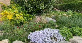 von_poll_real_estate_property_25257413_image_7