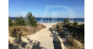 von_poll_real_estate_property_25257441_image_8