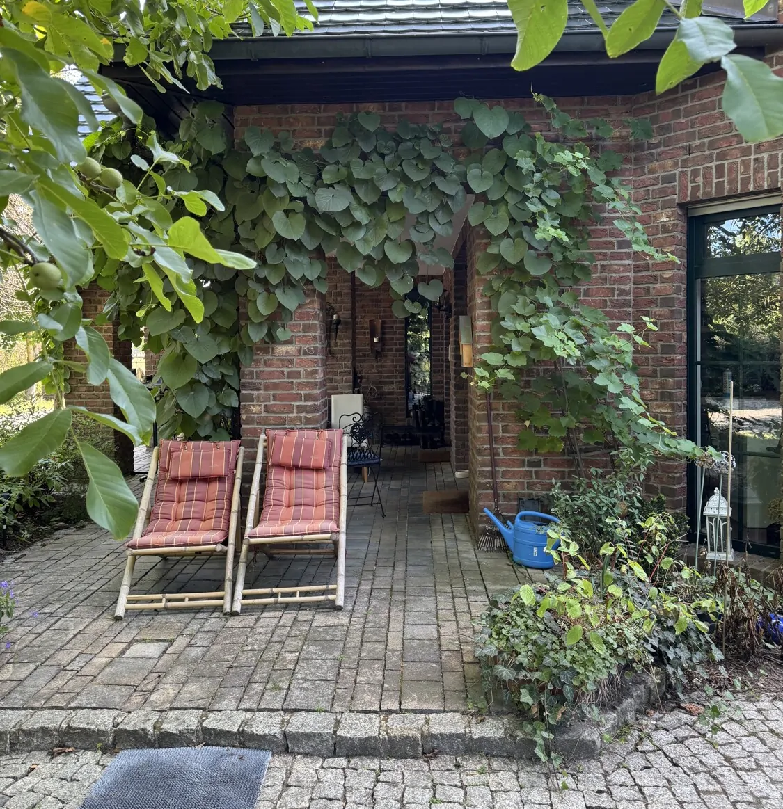 Terrasse küchenseitig