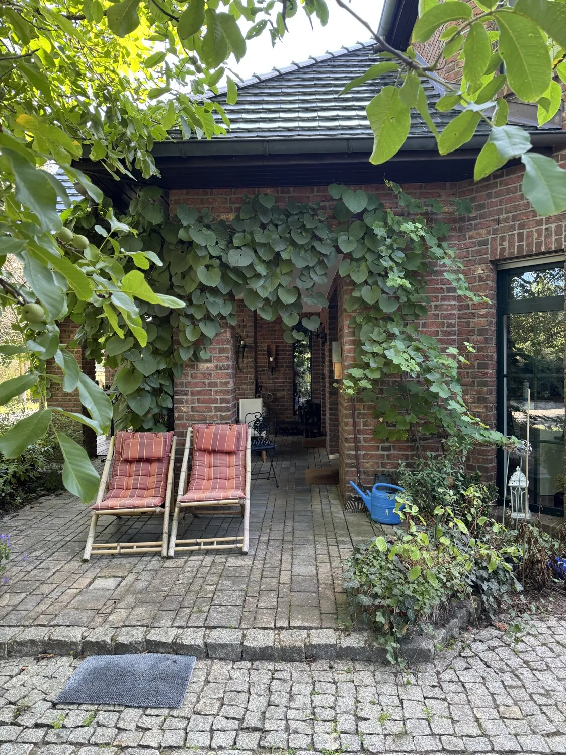 Terrasse küchenseitig