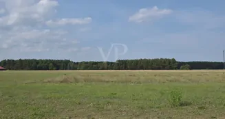 von_poll_real_estate_property_25314009_image_3