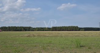 von_poll_real_estate_property_25314009_image_3