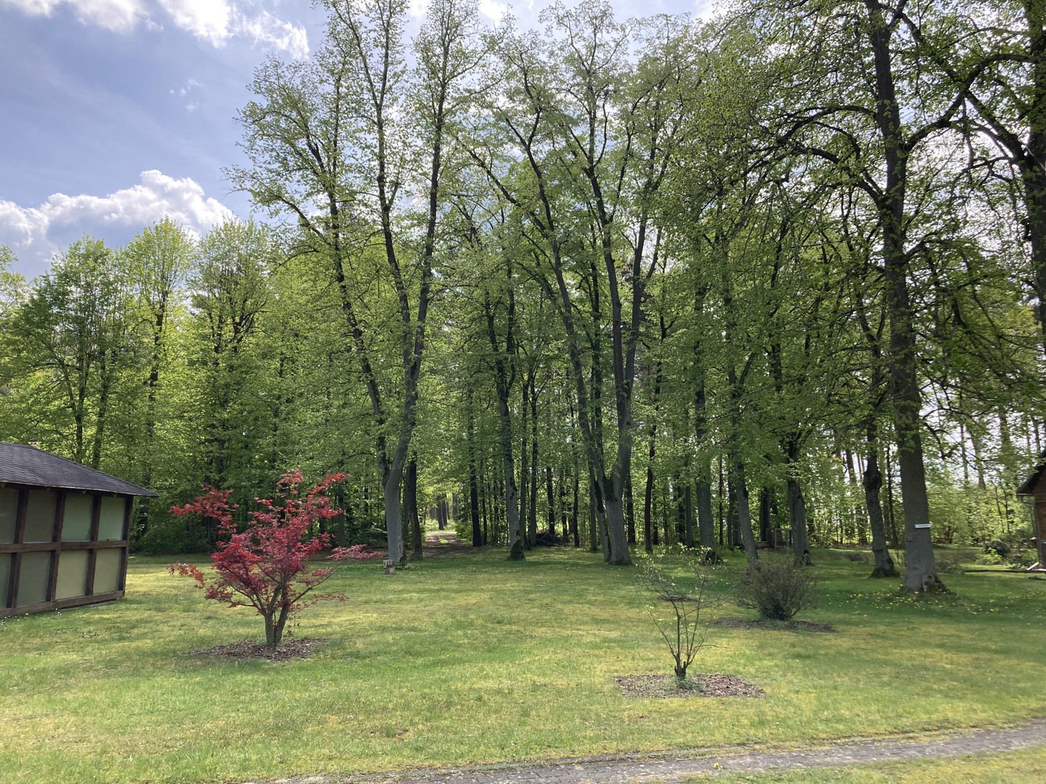 Charmantes Zweifamilienhaus mit großem Wald-Grundstück und Sanierungspotenzial