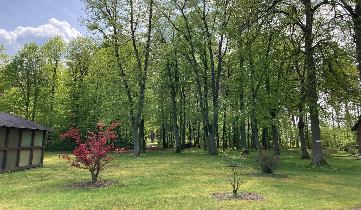 Charmantes Zweifamilienhaus mit großem Wald-Grundstück und Sanierungspotenzial