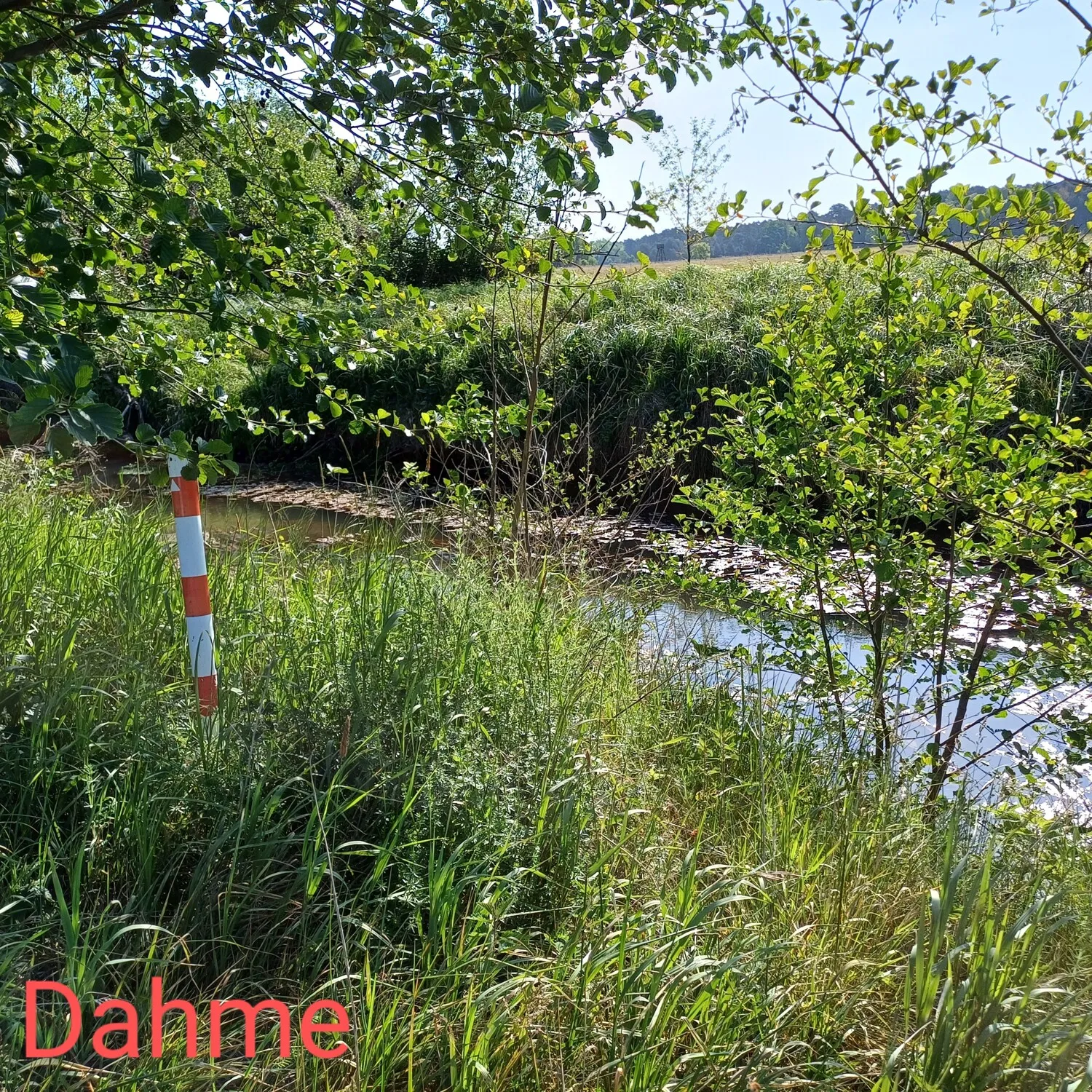 Dahme