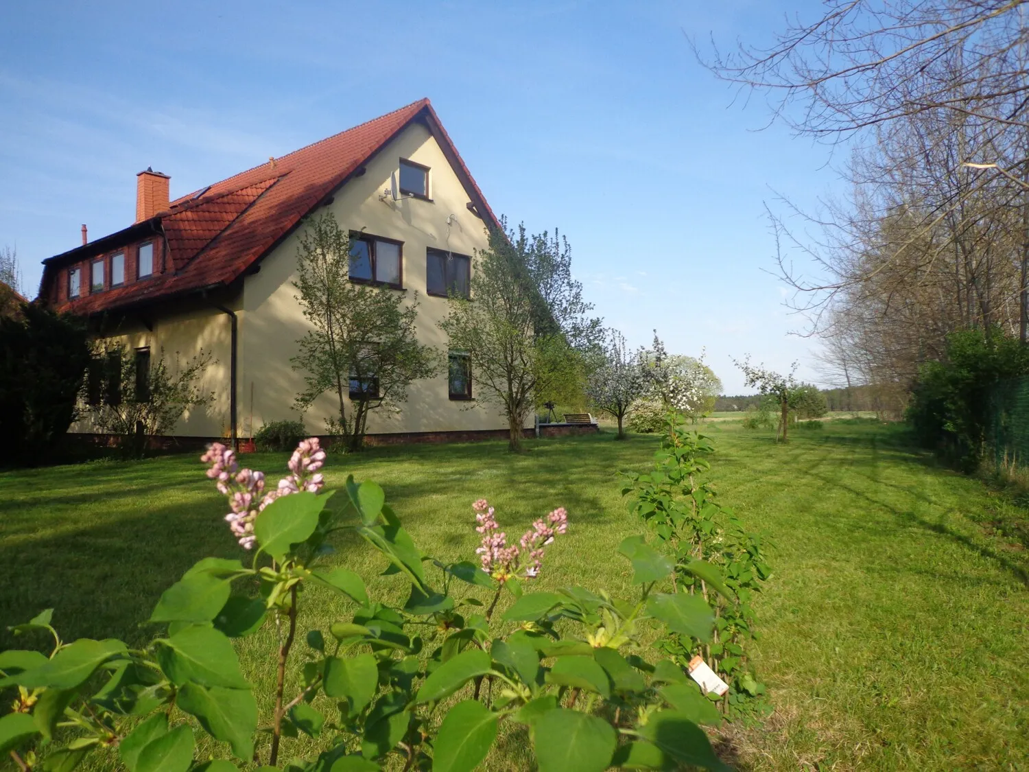 Haus Seitenansicht