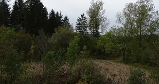 von_poll_real_estate_property_26323901_image_7