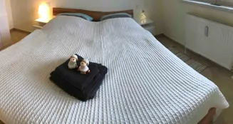 von_poll_real_estate_property_22363001_image_8