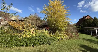 von_poll_real_estate_property_25323118_image_6