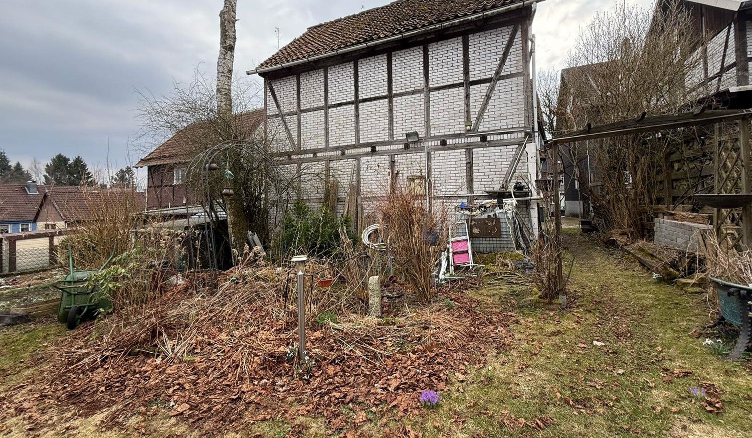 Ansicht Schuppen von hinten