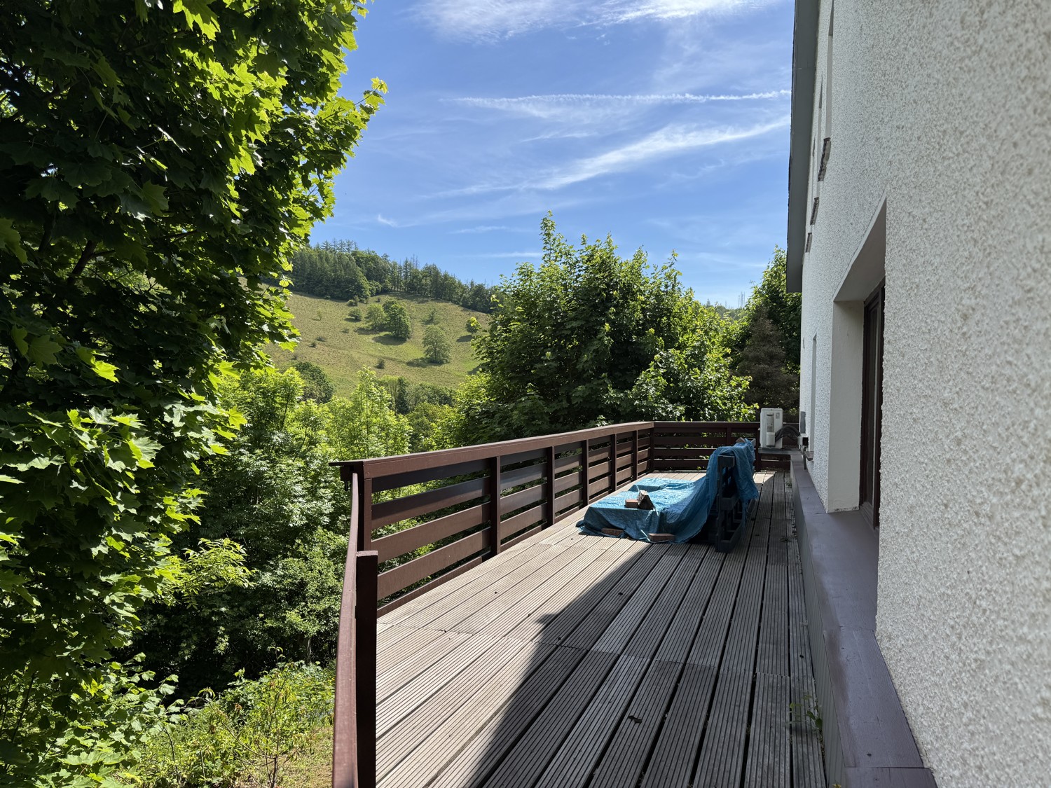 Die Natur als Nachbar - Einfamilienhaus mit Einliegerwohnung in idyllischer Lage von Lerbach