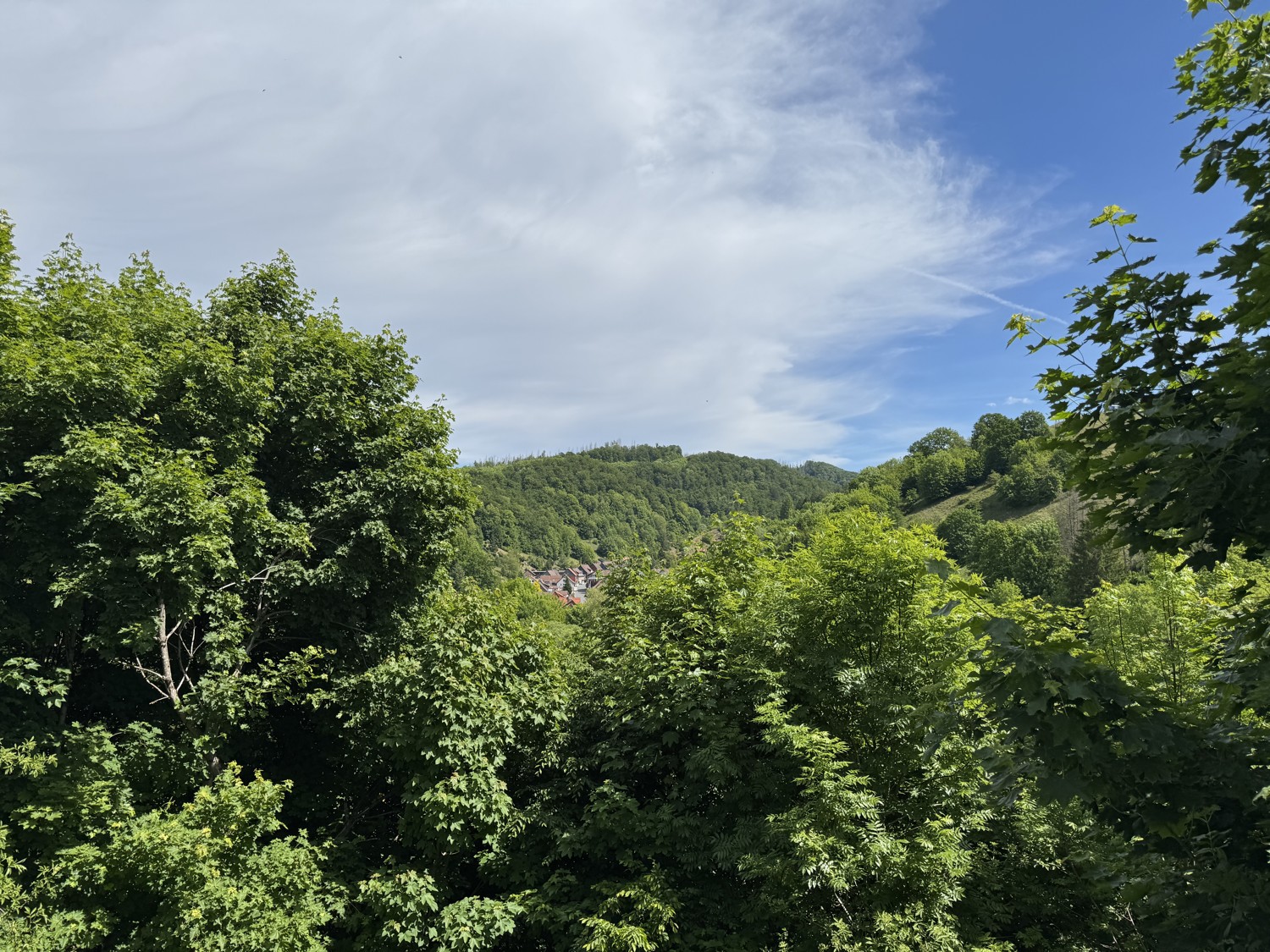 Die Natur als Nachbar - Einfamilienhaus mit Einliegerwohnung in idyllischer Lage von Lerbach