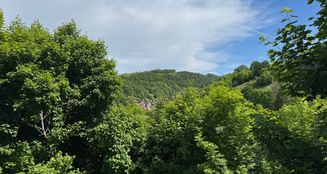 von_poll_real_estate_property_25323070_image_5