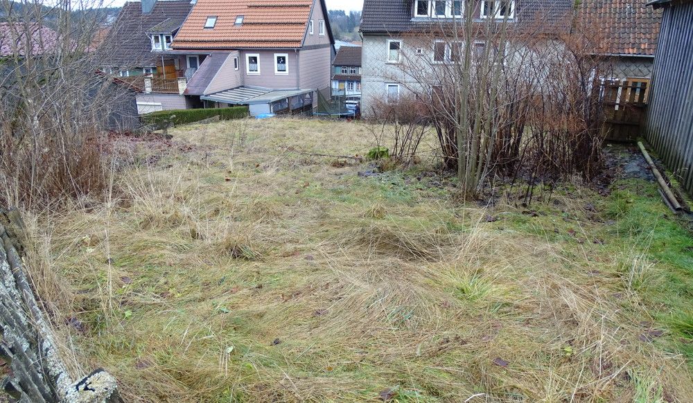 DSC00595
