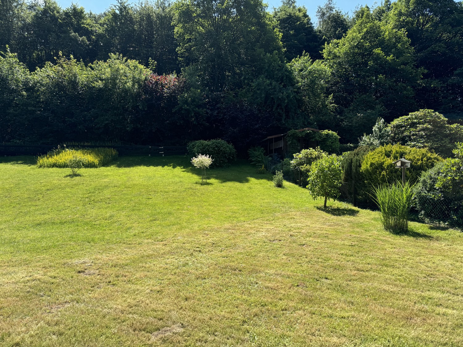 Natur Pur - Fantastisches Einfamilienhaus mit ca. 116 m² Wohnfläche und sonnigem Grundstück