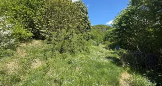 von_poll_real_estate_property_25323068_image_10