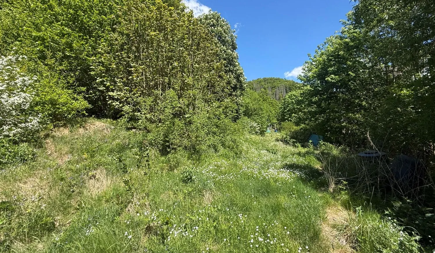 Einzigartig und Großzügig - Architekten-Chalet mit Traumgrundstück
