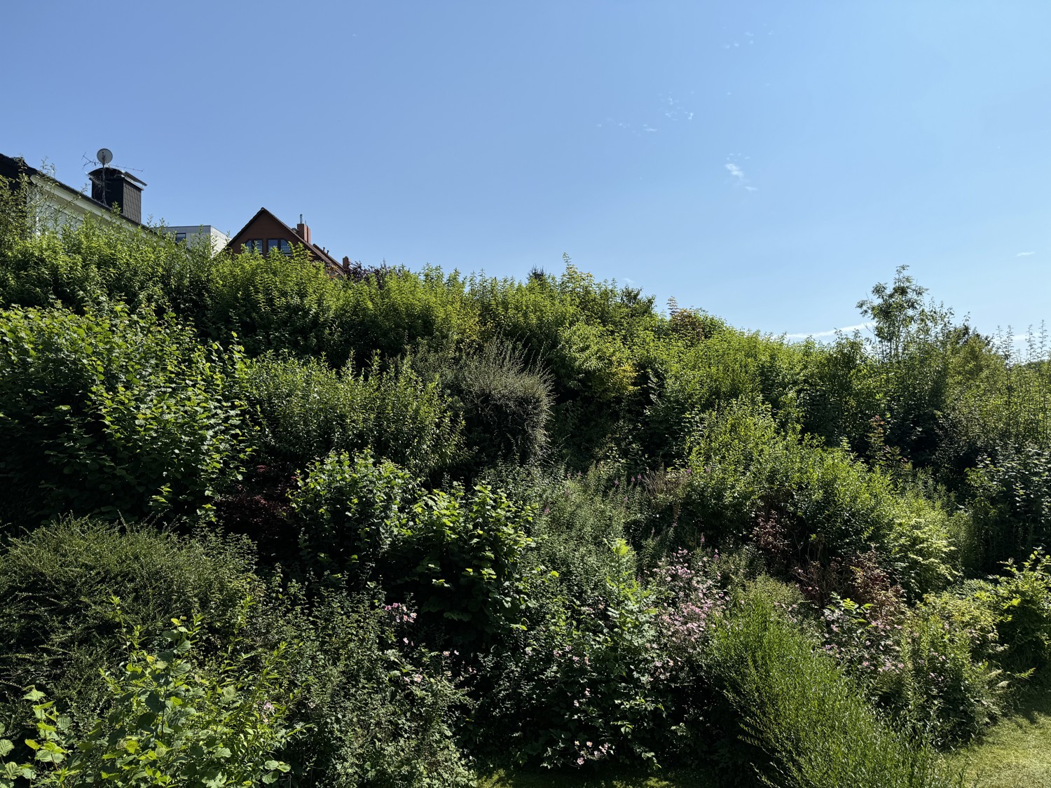 Wohlfühl-Wohnung über ca. 67 m² Wohnfläche in bester Lage von Bad Lauterberg 