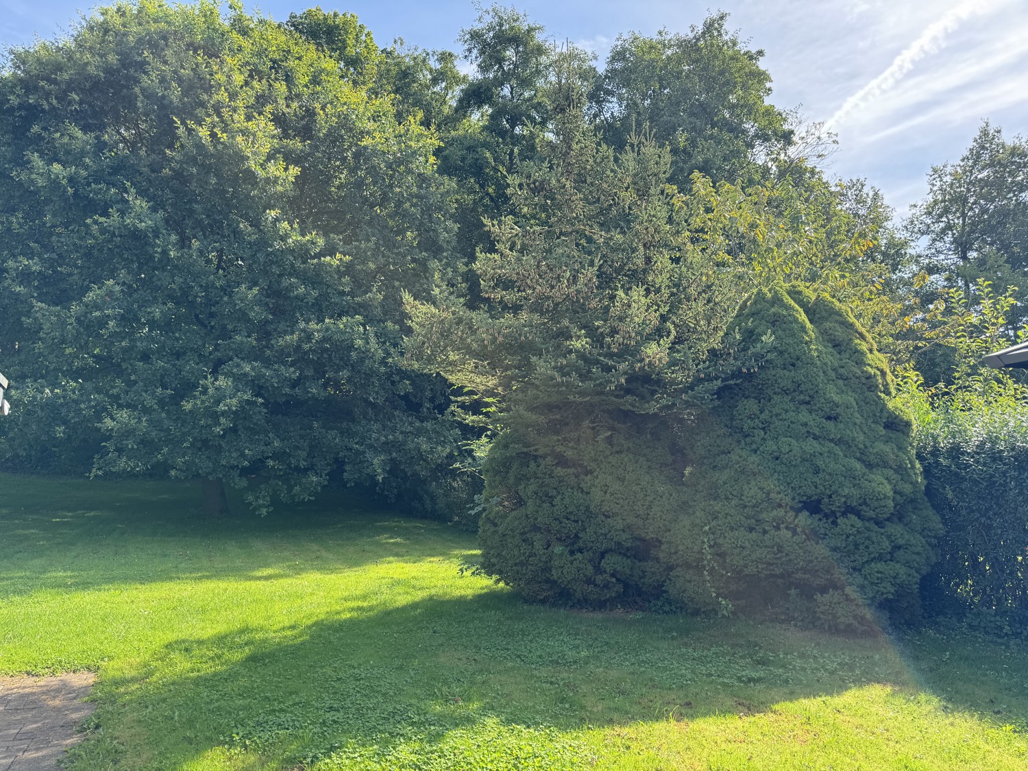 Wohnen in Badenhausen - Ansprechendes, sonniges und gepflegtes Einfamilienhaus