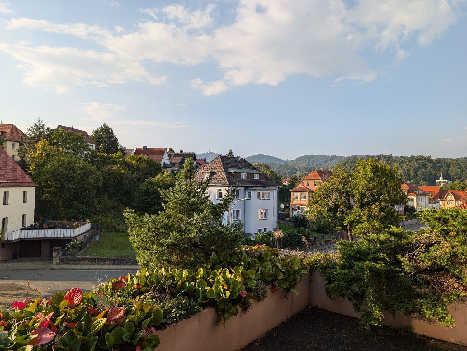 Interessantes Appartement mit großer Terrasse in begehrter Lage von Bad Sachsa