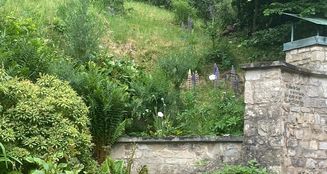 von_poll_real_estate_property_24323121_image_4