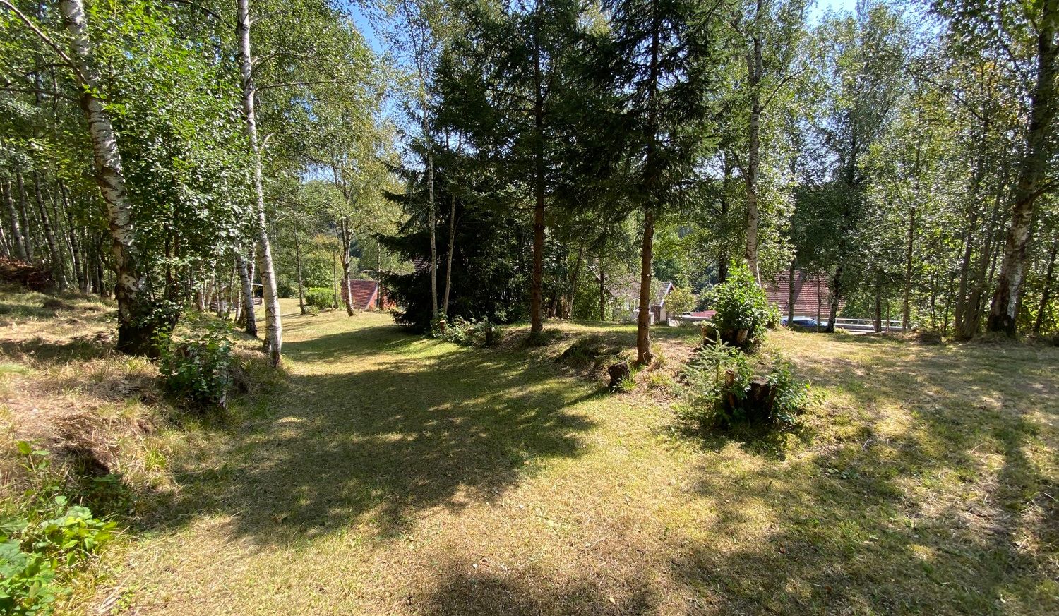 Garten / Auffahrt