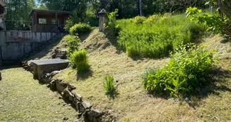 von_poll_real_estate_property_22363012_4_image_35