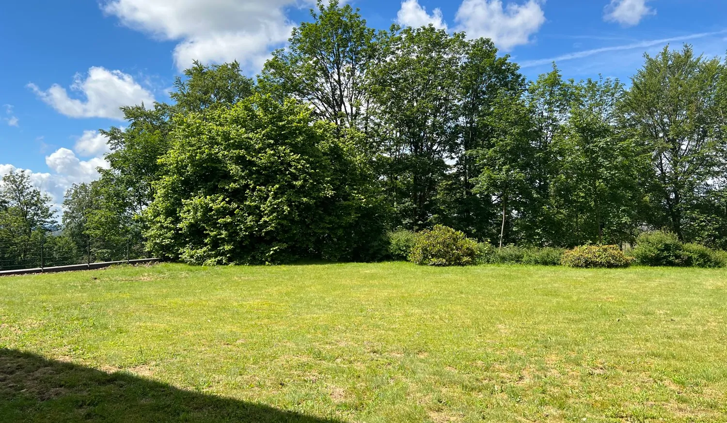 Schöne Ferienwohnung mit ca. 36,5 m² in Sankt Andreasberg