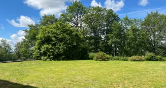 von_poll_real_estate_property_25323034_image_9