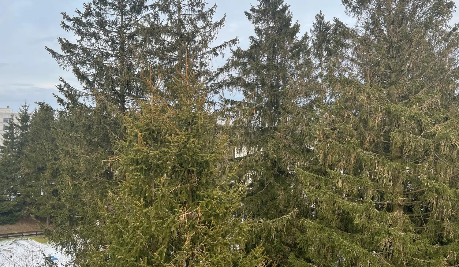 cd573f80-6255-432e-8f45-e69eee33e62f