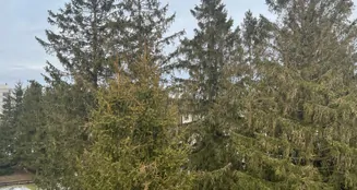 von_poll_real_estate_property_25323026_image_14