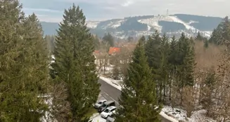 von_poll_real_estate_property_25323026_image_15