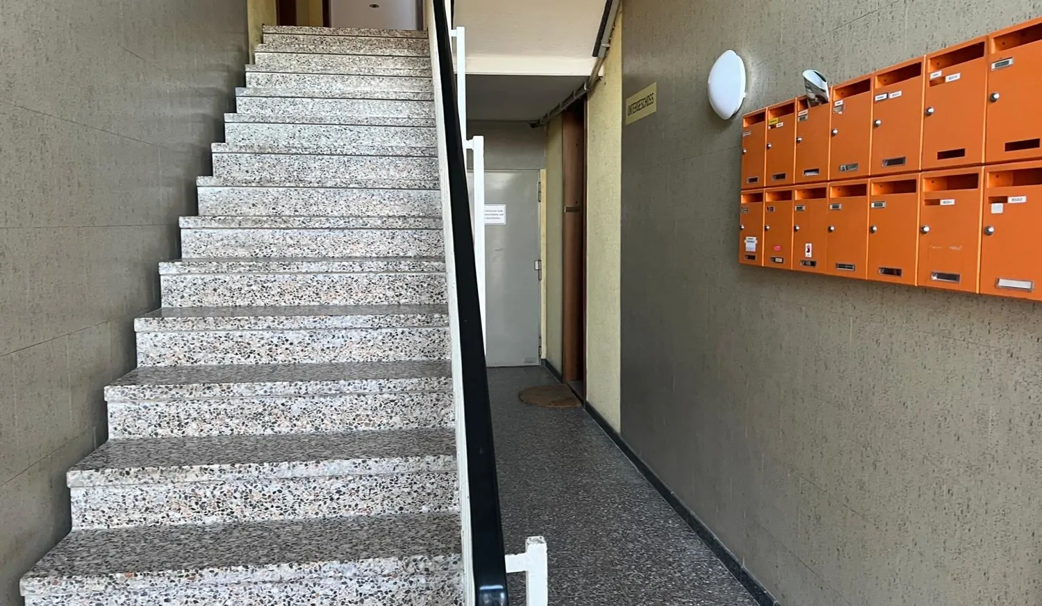 PHOTO-2025-03-05-16-03-08