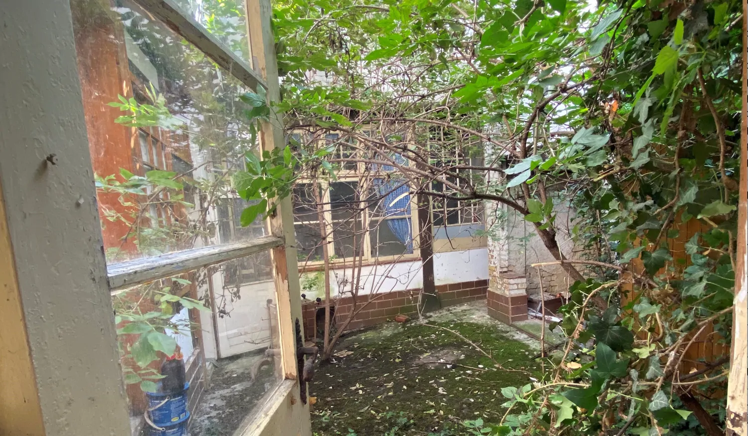 Sanierungsbedürftiges Fachwerkjuwel in Blankenburg – Ideal für Visionäre