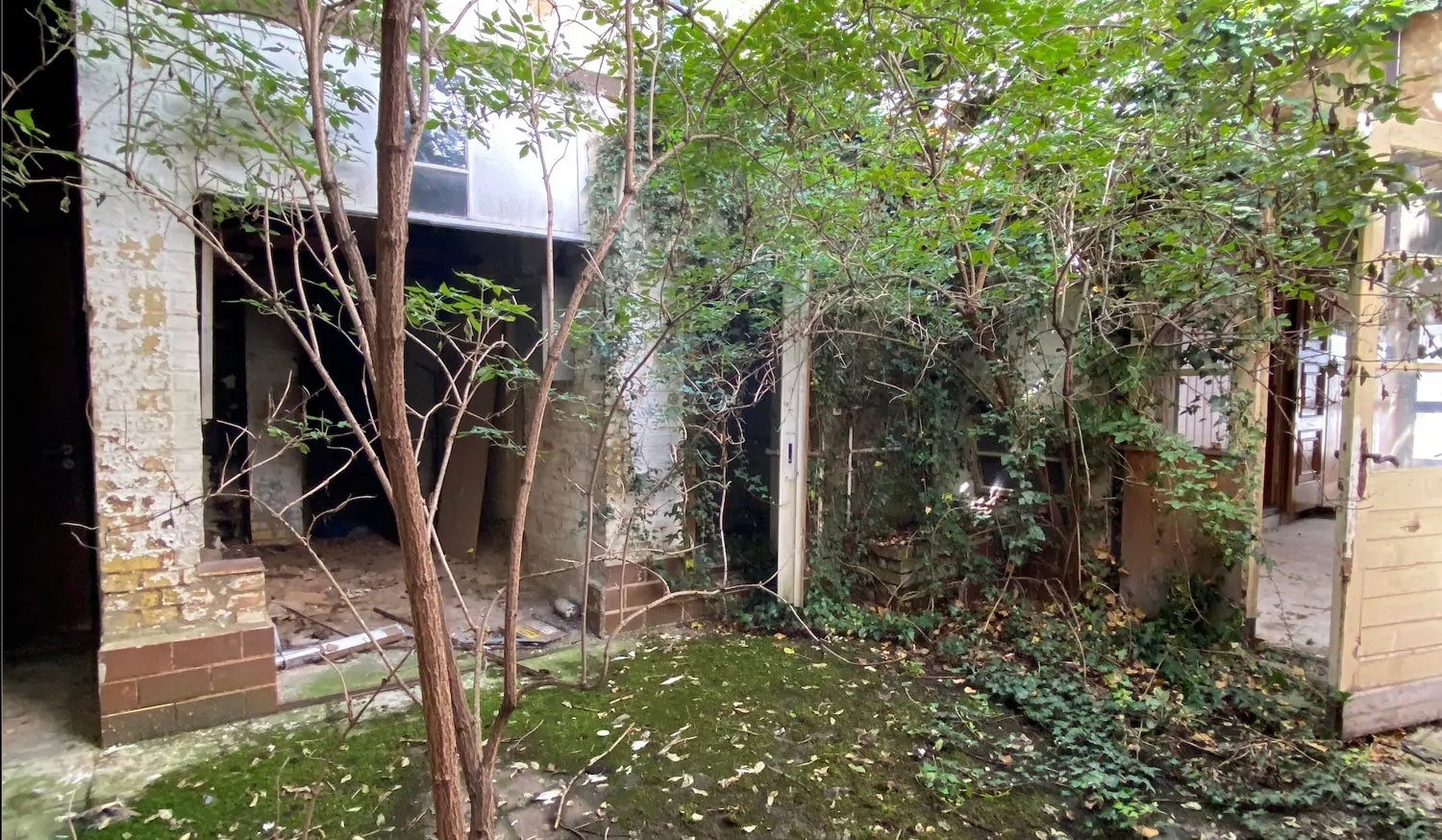 Sanierungsbedürftiges Fachwerkjuwel in Blankenburg – Ideal für Visionäre