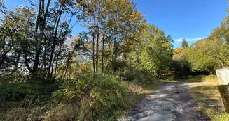 von_poll_real_estate_property_25323930_image_3