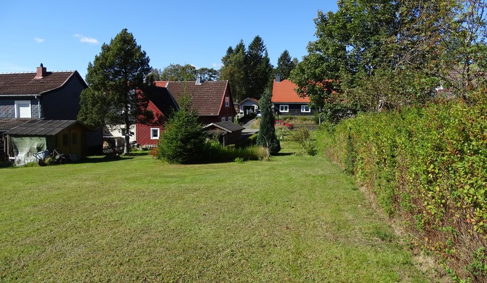 DSC05800