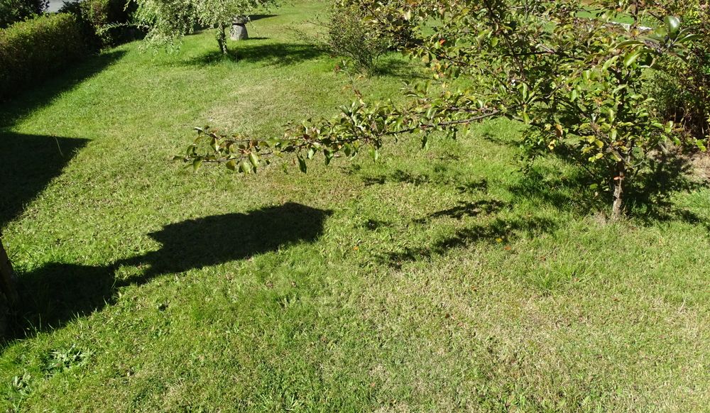 DSC05805