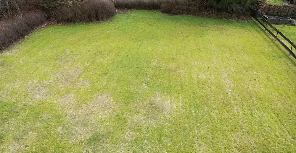 screen_5fa161423f4d0382_1679574795084