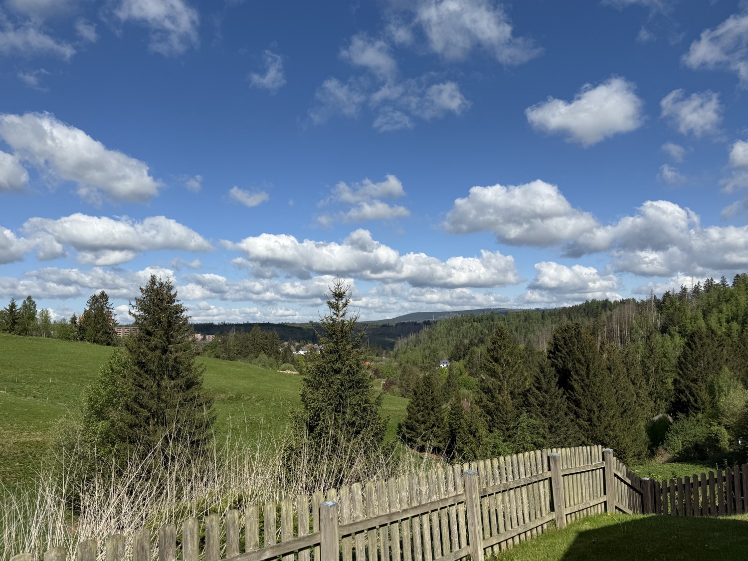 Blick in die Natur