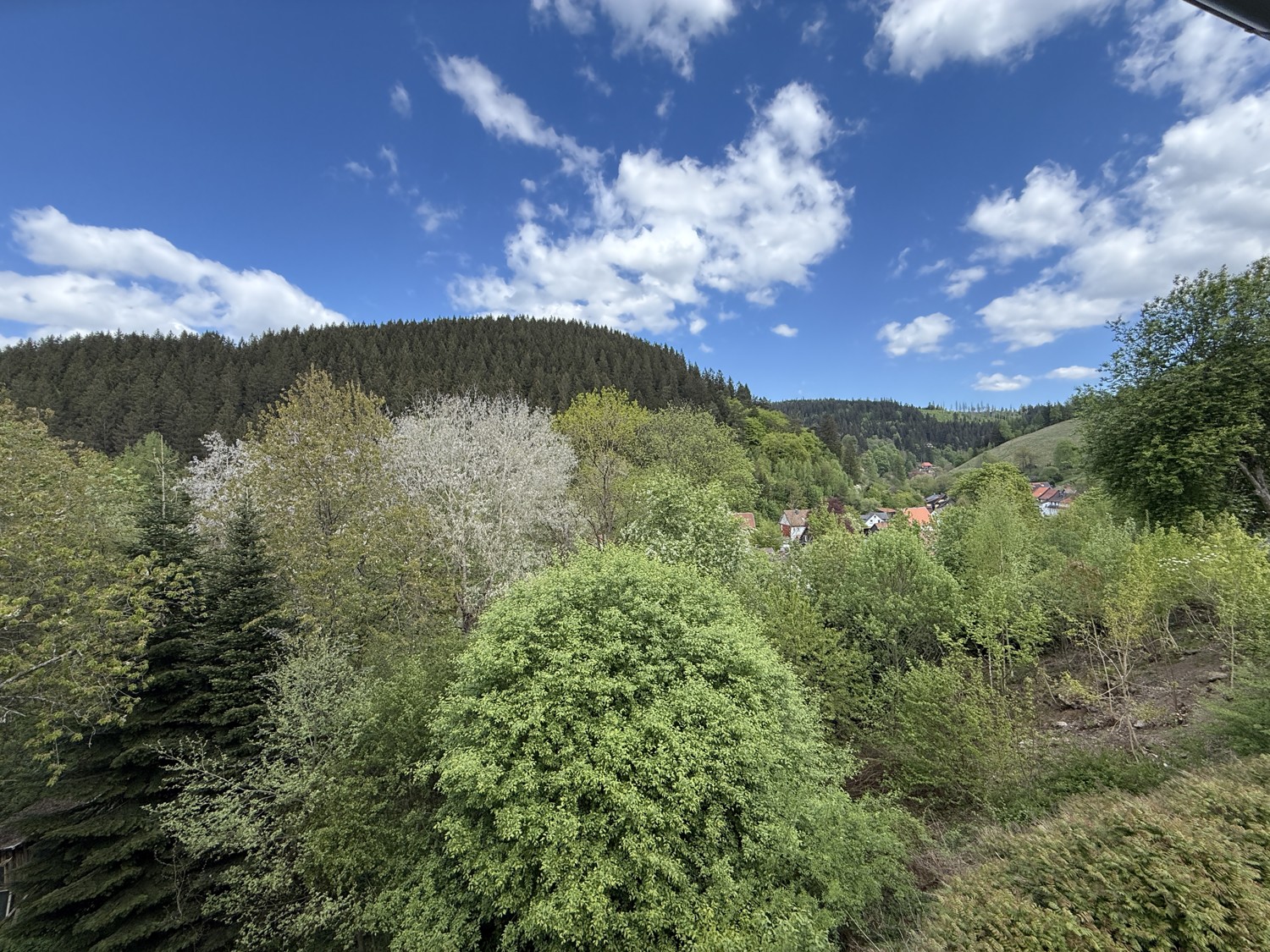 Blick ins Tal