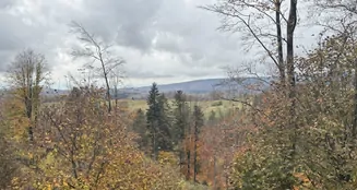 von_poll_real_estate_property_25323128_image_13