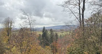 von_poll_real_estate_property_25323128_image_13