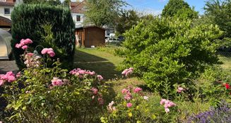 von_poll_real_estate_property_25323081_image_10