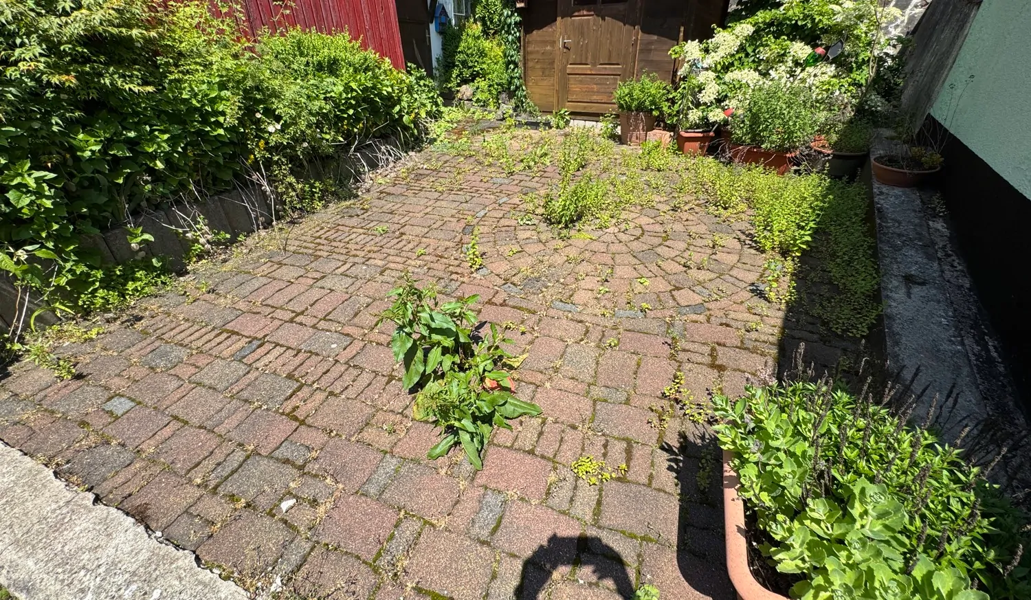 Idyllisch und Charmant - Einfamilienhaus mit vielen Möglichkeiten, tollem Blick und drei Garagen